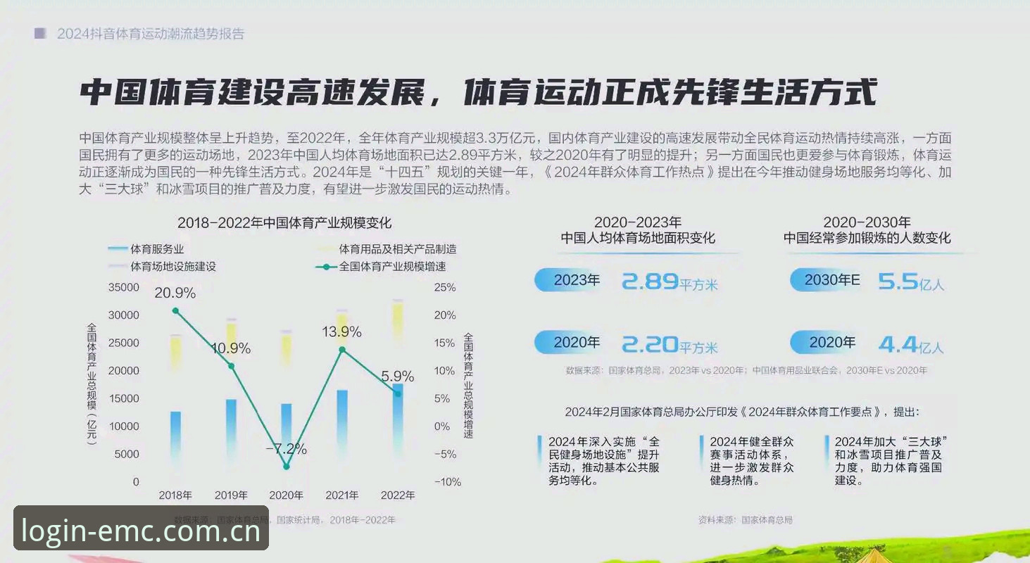 易倍体育平台2024新版入口深度解析：从用户体验到技术架构的全面评估