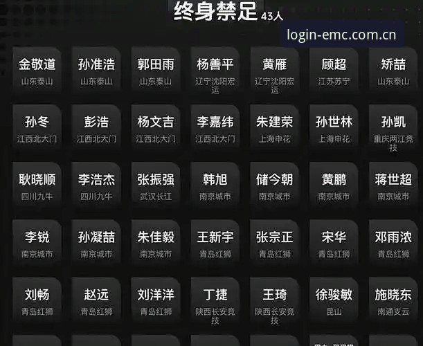 中国足协公布第三批禁足名单，易倍体育用户如何评估行业风险？